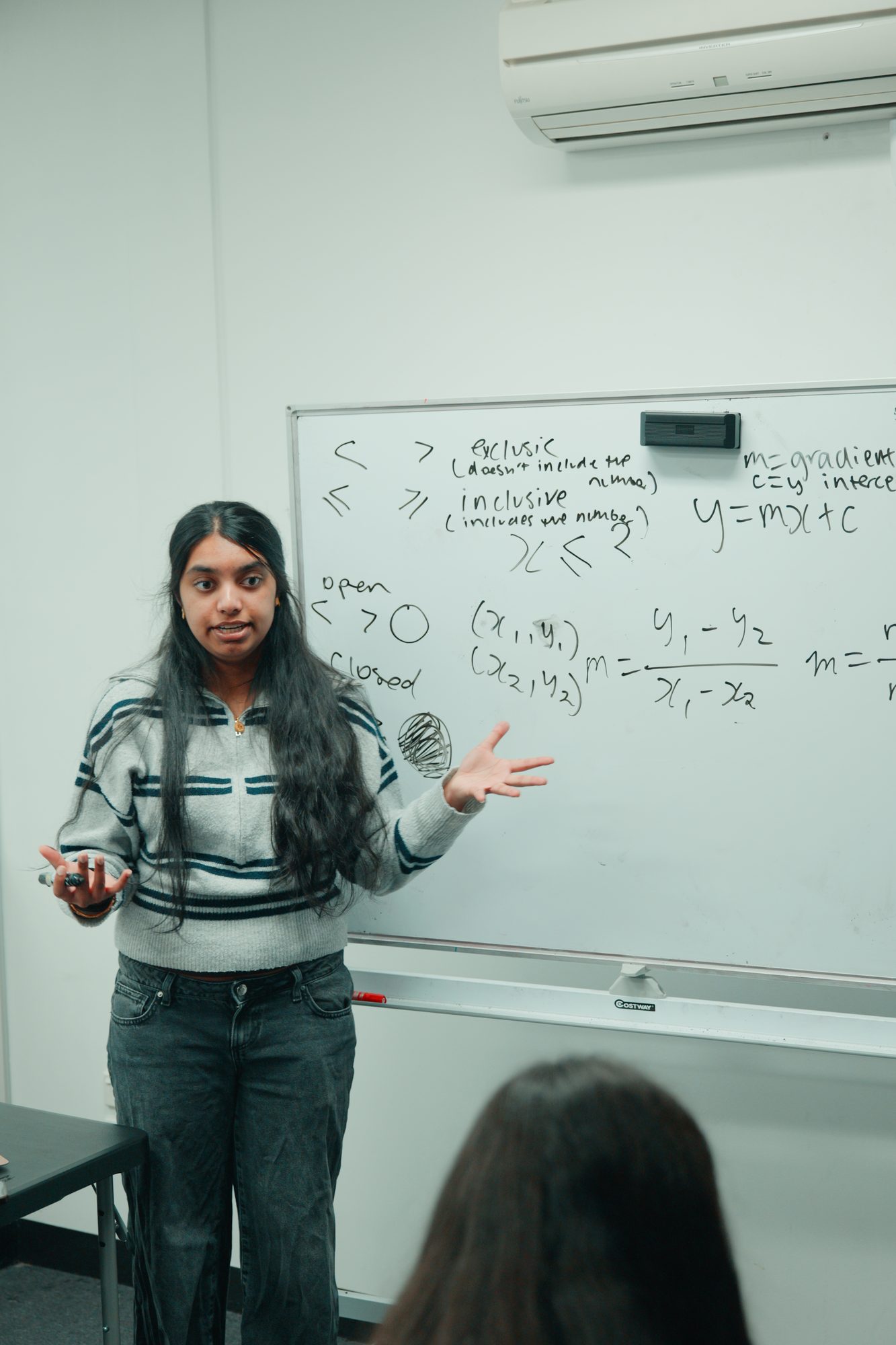 A Spartan Tuition tutor teaching at the whiteboard